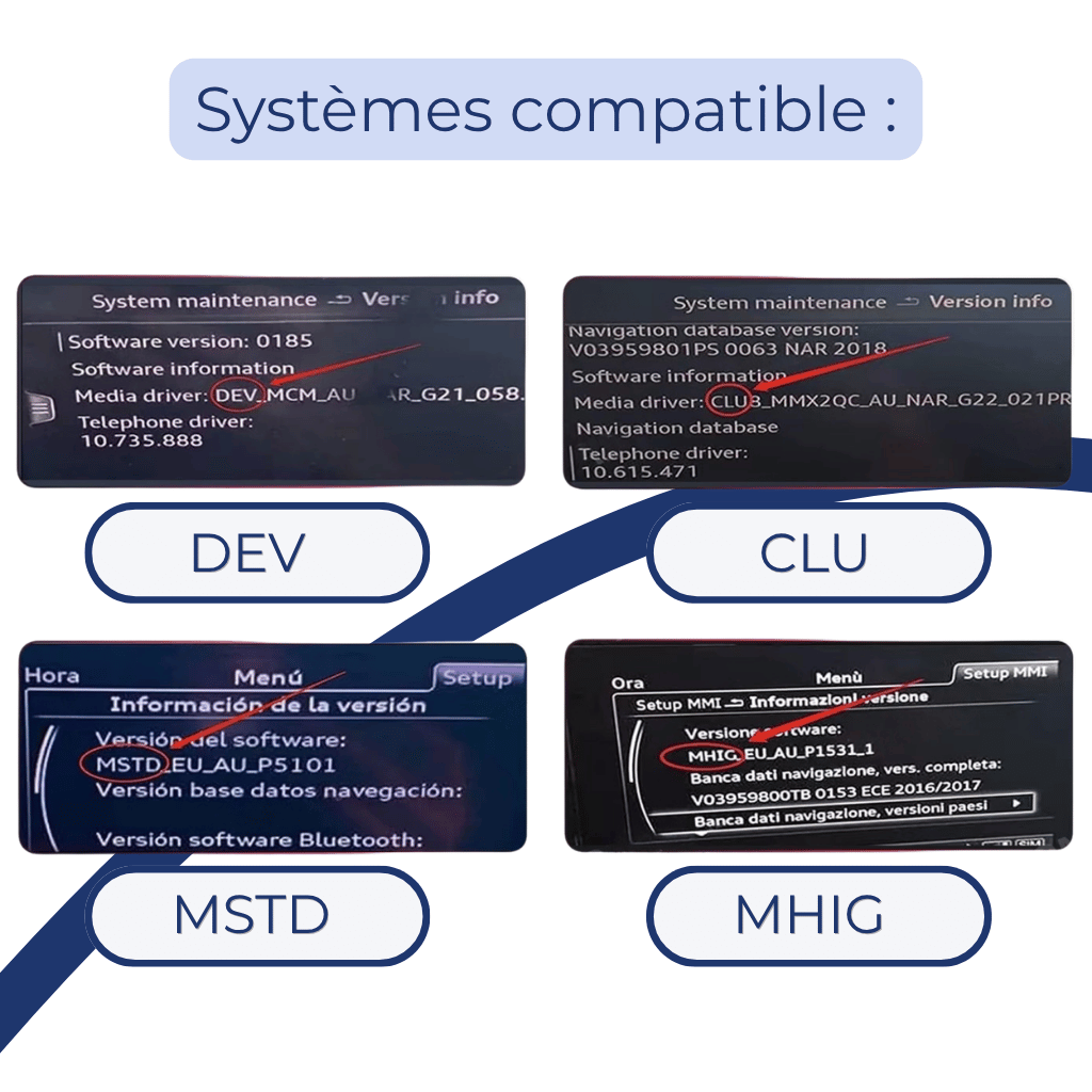 Systèmes multimédias compatibles DEV CLU MSTD et MHIG